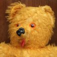 画像2: Teddy Bear from New Zealand (2)