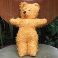 画像1: Teddy Bear from New Zealand (1)