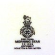 画像5: Royal Doulton "Morning Star" plate (5)