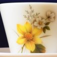 画像2: JAJ 'Autumn Glory' tea cup and saucer (2)