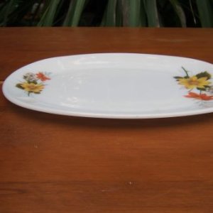 画像3: JAJ/Pyrex "Autumn Glory" steak plate/oval platter