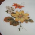画像2: JAJ(Pyrex,UK) "Autumn Glory" dinner plate (2)