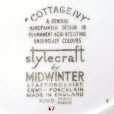 画像4: Midwinter "Cottage Ivy" dinner plate (4)