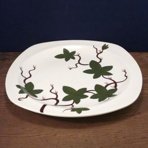 画像3: Midwinter "Cottage Ivy" dinner plate
