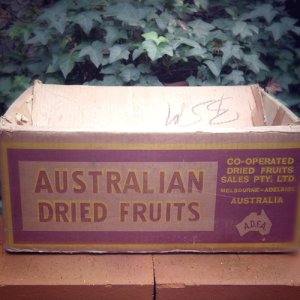 画像2: Old cardboard box from Australia