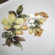 画像3: Midwinter "Magnolia" square bowl (3)