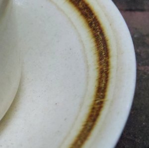 画像3: Crown Lynn tea cup and saucer from New Zealand
