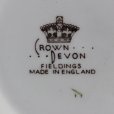 画像5: Crown Devon vintage tea canister/jar (5)