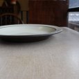 画像2: Hornsea "Cornrose" dinner plate (2)