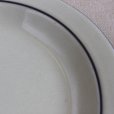 画像3: Hornsea "Cornrose" dinner plate (3)