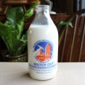 Vintage milk bottle from England