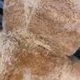 画像3: Extra large teddy bear from England (3)