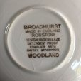 画像4: Broadhurst "Woodland" tea cup and saucer design Kathie Winkle (4)