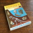 画像1: "FOSSILS" vintage pocket book from England (1)