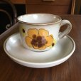 画像1: Denby "Minstrel" vintage tea cup and saucer (1)