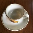 画像3: Denby "Minstrel" vintage tea cup and saucer (3)