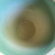 画像4: Susie Cooper "Dresden Spray" tea cup and saucer (4)