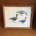 Vintage waterfront bird framed picture