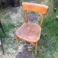 Vintage bentwood chair