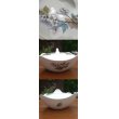画像3: Midwinter "Orchard Blossom" lidded salad bowl (3)
