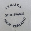 画像3: TEMUKA large ashtray from New Zealand (3)