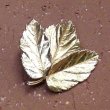 画像1: leaf brooch (1)