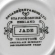 画像4: Broadhurst "Jade" tea cup and saucer (4)