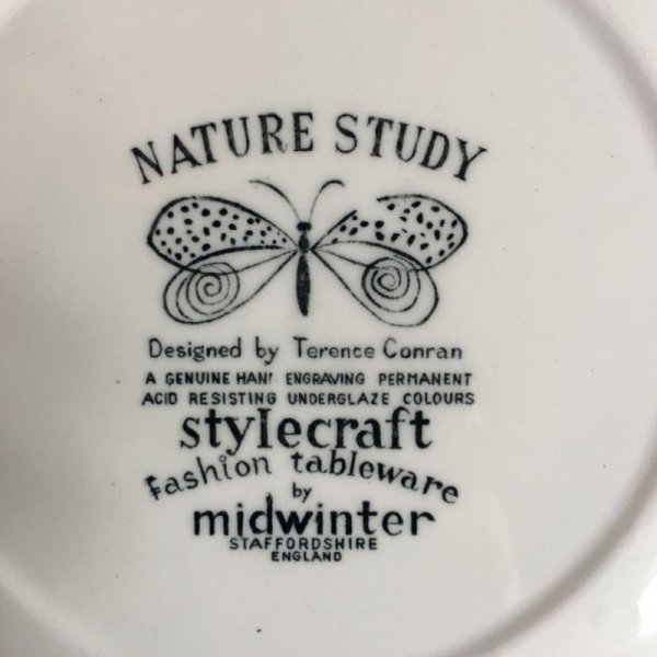 画像5: Midwinter "Nature Study" dinner plate designed by Sir Terence Conran (5)