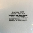 画像4: Midwinter "Cherry Tree" dinner plate (4)