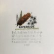 画像6: Midwinter "Riverside" cake stand designed by John Russell (6)
