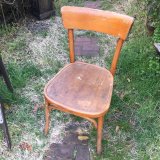 画像: Vintage bentwood chair